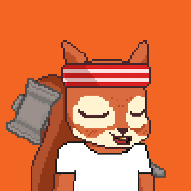 Pixel Squirrels #9186